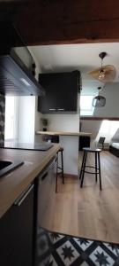 Appartements Alpine Stay Studio mansarde Chorrier Berriat Clinique Mutualiste : photos des chambres