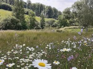 Charmante maisonnette en pierre près dÉpinal - FR-1-589-804