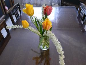 Maisons de vacances Gite Charmant avec Terrasse Privee et Parking a Zellenberg - FR-1-744-44 : photos des chambres