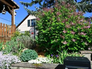 Maisons de vacances Gite Charmant avec Terrasse Privee et Parking a Zellenberg - FR-1-744-44 : photos des chambres