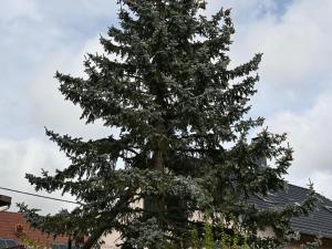 Maisons de vacances Gite Charmant avec Terrasse Privee et Parking a Zellenberg - FR-1-744-44 : photos des chambres