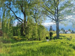 Apartmán U bělouše