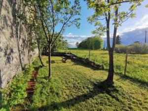 Apartmán U bělouše