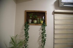 Luxurious Homestay Retreat