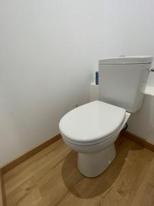 CMG Studio 102 XL Petit-Bois Place Ducale