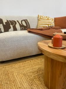 CMG Studio 102 XL Petit-Bois Place Ducale