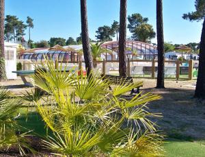 Campings Plaisirs Nature a La Pignade : photos des chambres