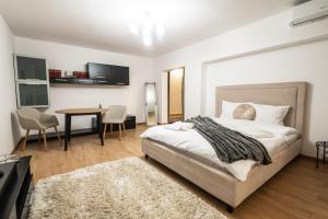 Modern & Cozy Studio - Near Herastrau Park