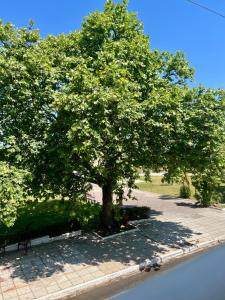 Aμvrosia Petalidi Square - Free WiFi, Smart TV, 2 λεπτά από την παραλία