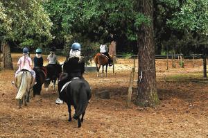 Campings Plaisirs Nature a La Pignade : photos des chambres