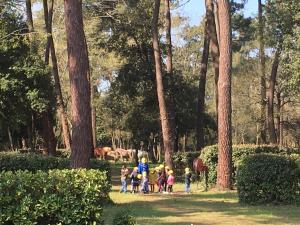 Campings Plaisirs Nature a La Pignade : photos des chambres