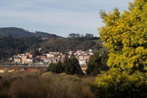 Albergue Las Mimosas del Nalón