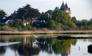 Appartements Les Quais Bleus Port de Vannes : photos des chambres