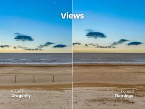 Dragonfly & Flamingo