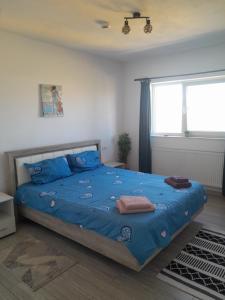 Complex turistic Duca