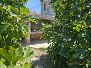 Apartment Antonio on the seafront with garden