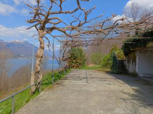 Casa Bosco