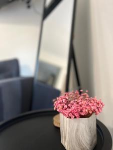 Drama Homes Miaouli #2