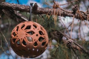 ALOLAH en el corazón del bosque, Huasca