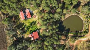 ALOLAH en el corazón del bosque, Huasca