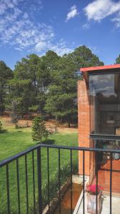 ALOLAH en el corazón del bosque, Huasca