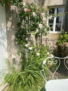 B&B / Chambres d'hotes Le vieux clos du rucher ker-melen : photos des chambres