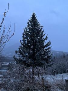 La Terrasse du Serre