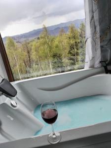 Cabana doi mesteceni