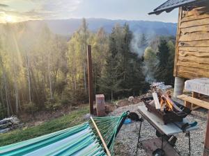 Cabana doi mesteceni