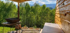 Cabana doi mesteceni