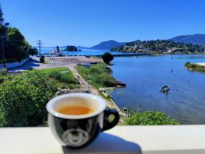 Two-Bedroom Deluxe Apartment with Ocean View room in Anna Apartments Kanoni