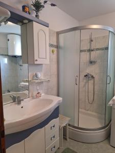 Apartment Amico