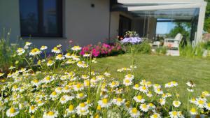 Il Giardino di Sofia B&B
