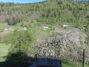 Maisons de vacances Le refuge de la source : photos des chambres