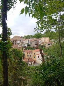 Appartements Studio des fleurs : photos des chambres