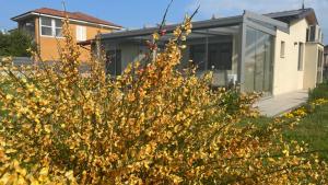 Il Giardino di Sofia B&B