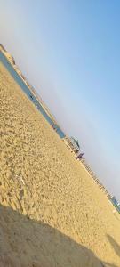 فيلا الجناين