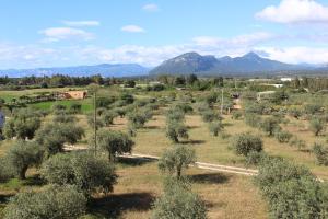 Hotel Baia Marina img36