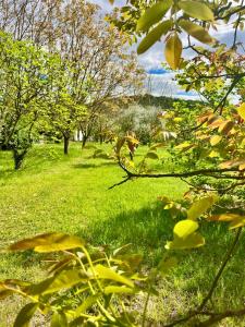 Maisons de vacances Villa Madeleine : photos des chambres