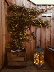 Maisons de vacances Cocon entre presqu'ile du Cap Ferret et plages oceanes - terrasse - 1 velo gratuit : photos des chambres