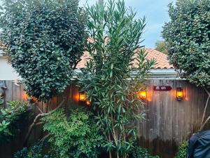 Maisons de vacances Cocon entre presqu'ile du Cap Ferret et plages oceanes - terrasse - 1 velo gratuit : photos des chambres