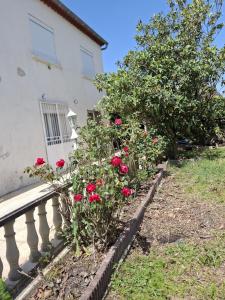 Lady ROSE Nîmes House for 14 people