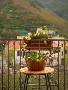 Putechella Retro Rooms & Villa