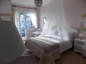 B&B Le Camelie del Bosco