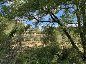 Maisons d'hotes Le Mas des Oliviers appartement 2 pieces tous conforts : photos des chambres