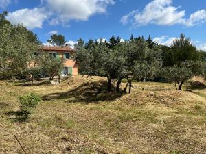 Maisons d'hotes Le Mas des Oliviers appartement 2 pieces tous conforts : photos des chambres