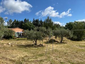 Le Mas des Oliviers appartement 2 pieces tous conforts