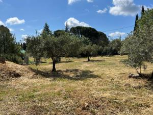 Maisons d'hotes Le Mas des Oliviers appartement 2 pieces tous conforts : photos des chambres