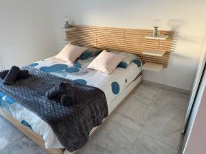 Appartements Montpellier Un ecrin de lumiere pour enchanter votre sejour : photos des chambres