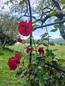 La Tua Dimora tra le Cinque Terre e le Alpi Apuane